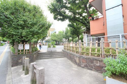 公園の画像1