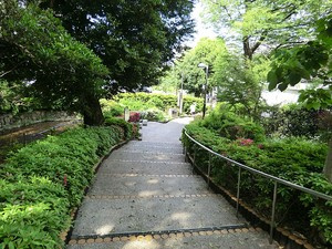 中目黒南緑地公園の画像1