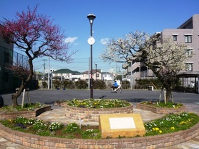 祐天寺一丁目ふれあい公園の画像1