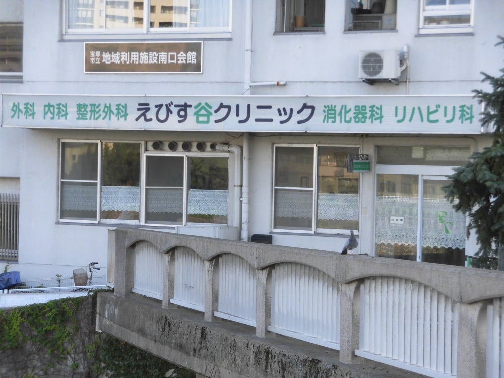 の画像