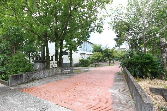 の画像