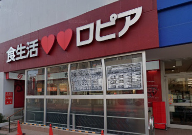 ロピア 馬絹店情報ページ 武蔵小杉の一人暮らし 賃貸 株式会社グランツエステート
