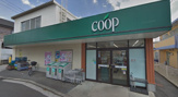 ユーコープ 白幡店