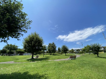白鳥公園の画像1