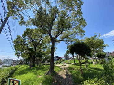 大坊池公園の画像1