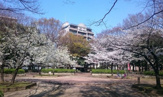 南吹田公園