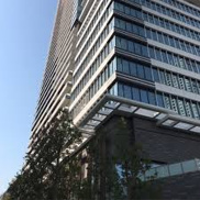 保育園 小鳩ナーサリースクール 浜離宮