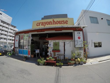 クレヨンハウス西からの旬菜便の画像1