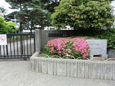 相模原市立弥栄中学校の画像1