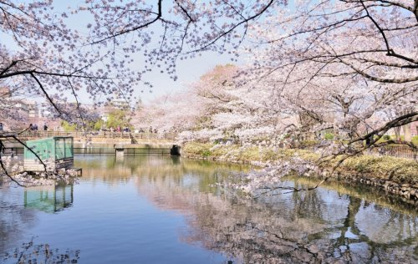 鹿沼公園の画像1