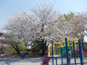 東中公園の画像1