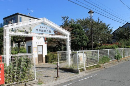 千早緑地公園の画像1