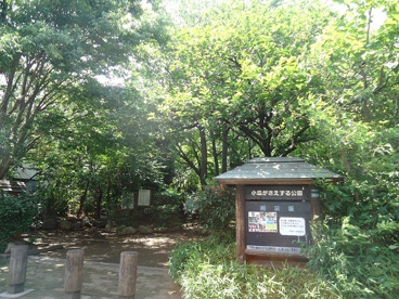 小鳥がさえずる公園の画像1