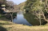 鎌倉中央公園