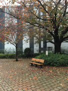 公園 中野区立神田川はなひろば