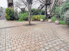 公園 中野区立若の芽ポケットパーク