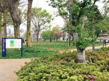 中野区立本五ふれあい公園