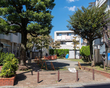 公園 中野区立みなみの広場