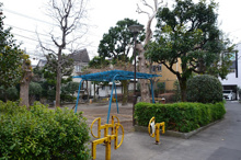 公園 中野区立こまどり公園