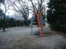 公園 中野区立たんぽぽ公園