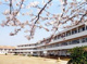 瑞穂市立生津小学校の画像