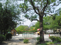 葛西東公園