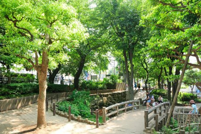 幡ヶ谷第三公園の画像1