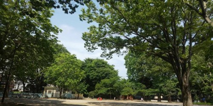 中野区立江原公園の画像1