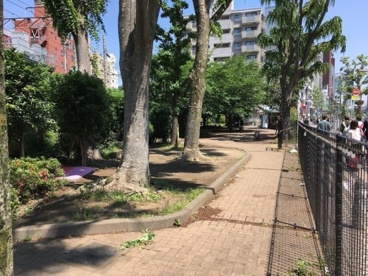 神宮通公園の画像1