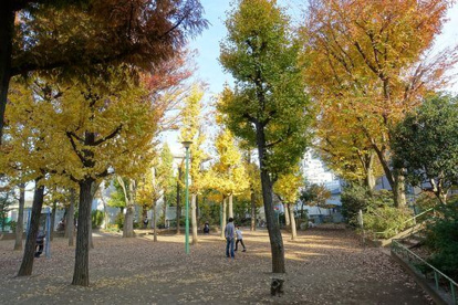 竹早公園の画像1