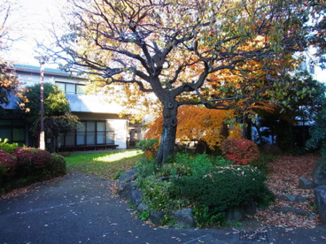 中野区立 白鷺公園の画像1