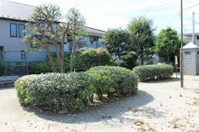 公園 中野区立かせい公園