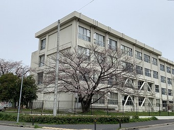 の画像