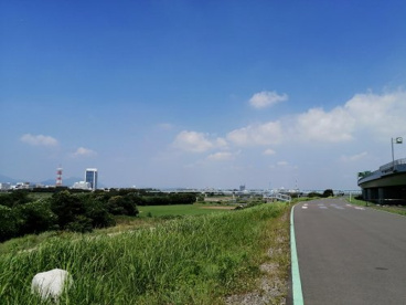 中野公園の画像2