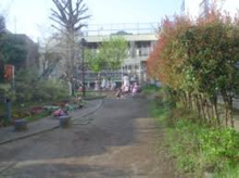 公園 杉並区立阿佐谷こぶし緑地