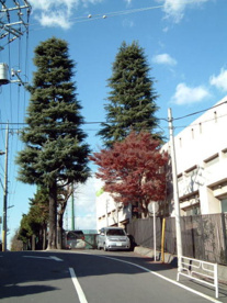 横浜市立田奈中学校の画像1