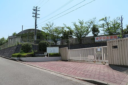の画像