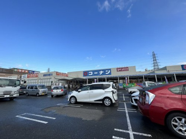 ホームセンターコーナン 堺店の画像1