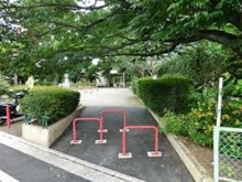 杉並区立一本橋公園