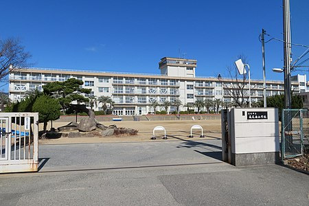 の画像