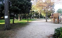 杉並区立成田かっぱ公園