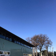 保育園 ゆめの樹保育園 なりたにし
