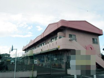 認定こども園めばえの森かんこう