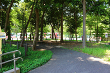 公園 杉並区立成田西切通し緑地