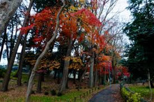 公園 成田西いこい緑地