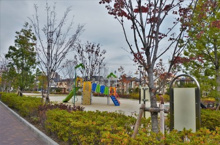 公園 成宗さくら公園
