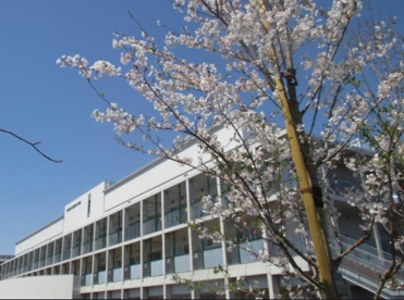 大田区立志茂田小学校の画像1