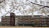 桜城小学校