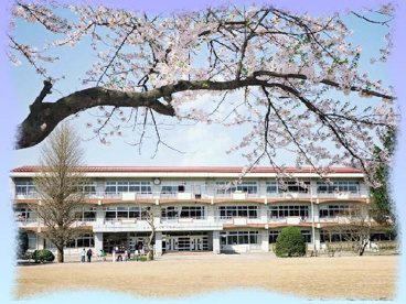 河北小学校の画像1