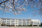 小学校 上青木西小学校